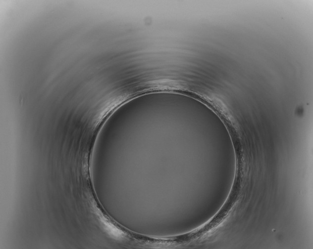 X0000090770889200707271525