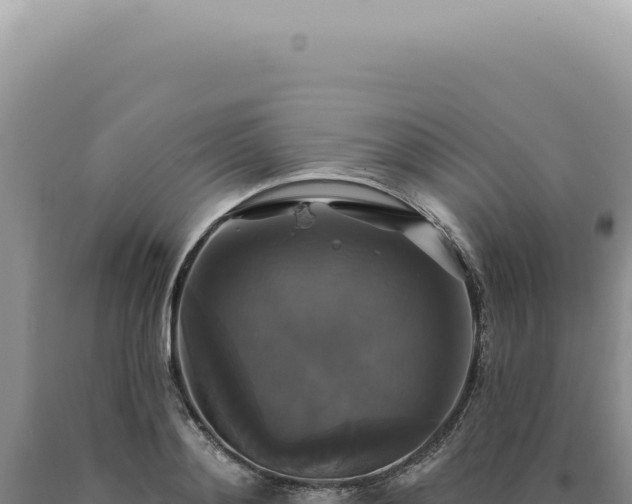 X0000090770892200707271525