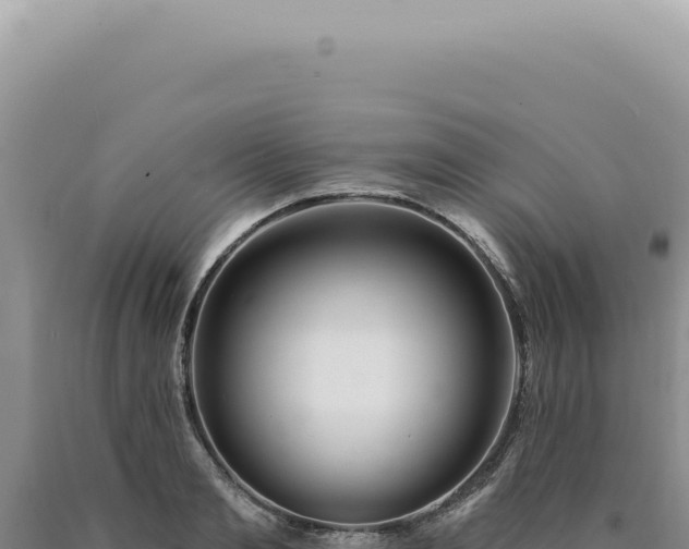 X0000090770893200707271525