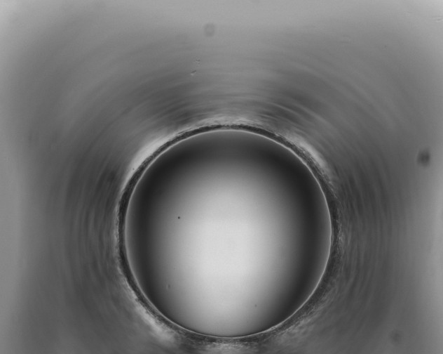 X0000090770894200707271525