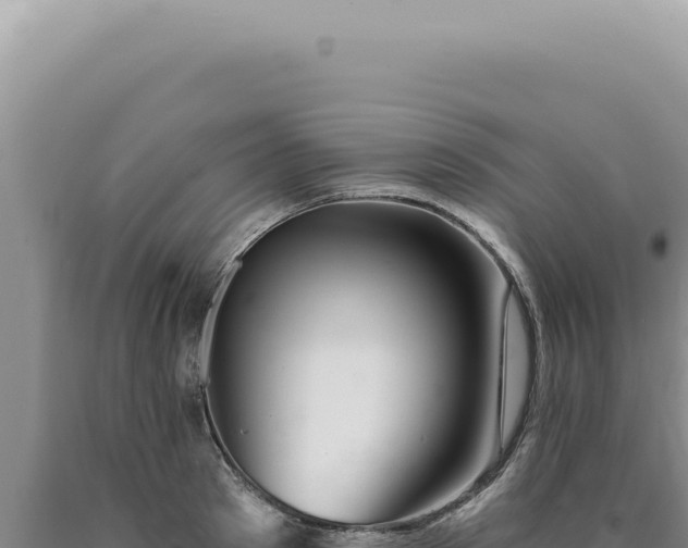 X0000090770897200707271525