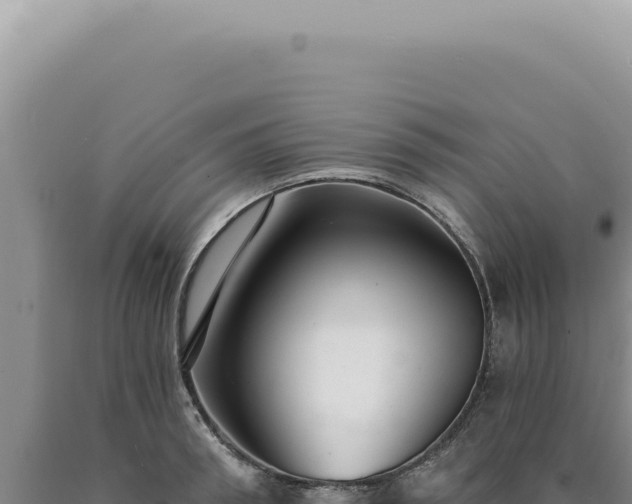 X0000090770898200707271525