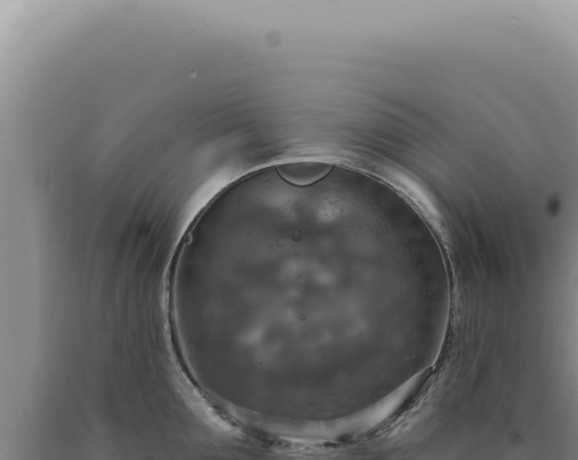 X0000090770907200707271525
