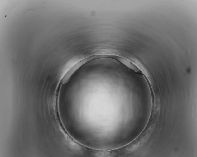 X0000090770909200707271525