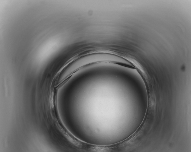 X0000090770910200707271525