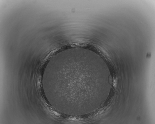 X0000090770915200707271524