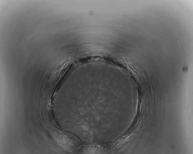 X0000090770916200707271524