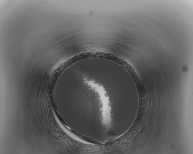 X0000090770919200707271524