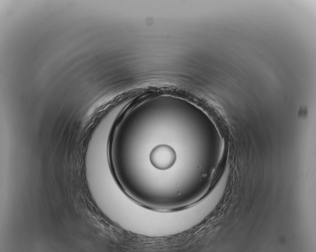 X0000090770920200707271524