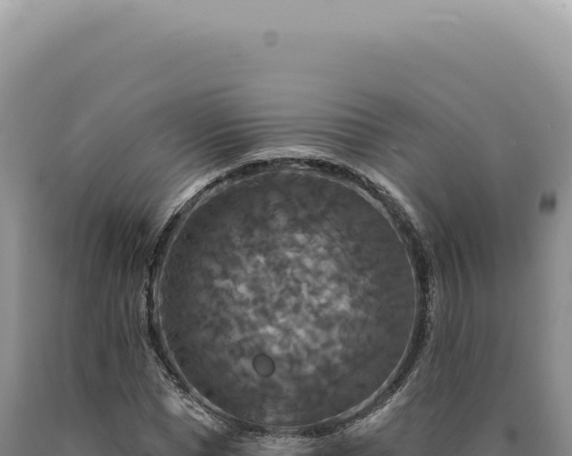 X0000090770921200707271524