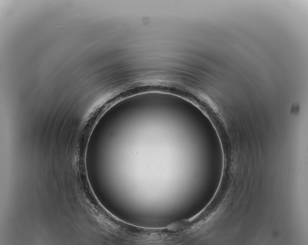 X0000090770922200707271524