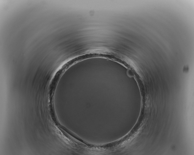 X0000090770923200707271524