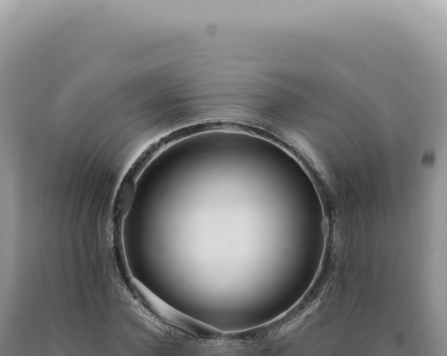 X0000090770924200707271524