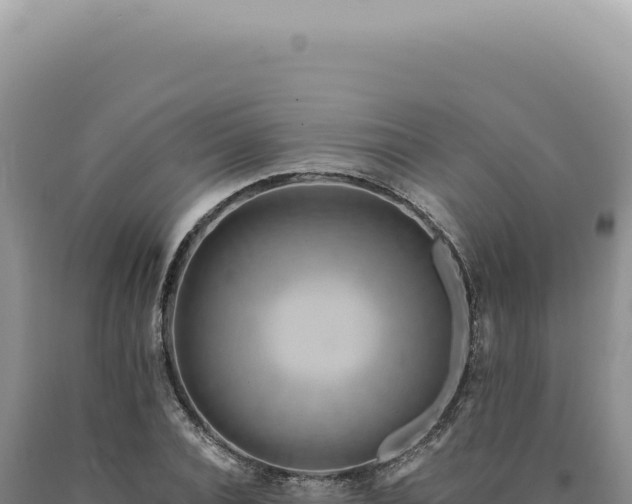 X0000090770928200707271524