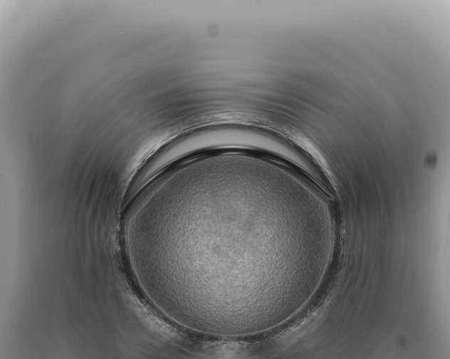 X0000090770930200707271524