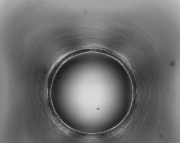 X0000090770931200707271524