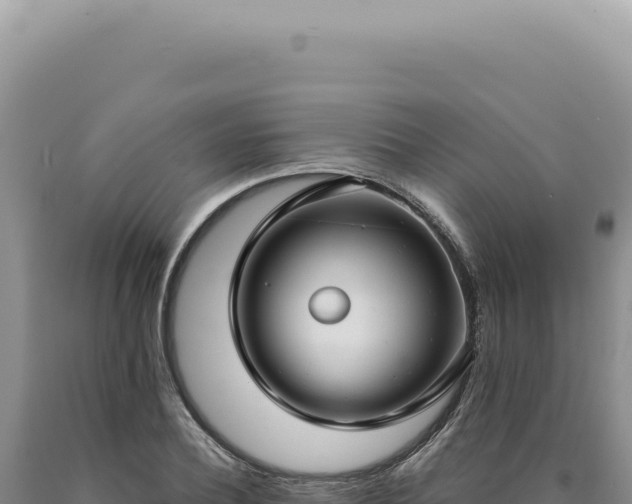 X0000090770932200707271524