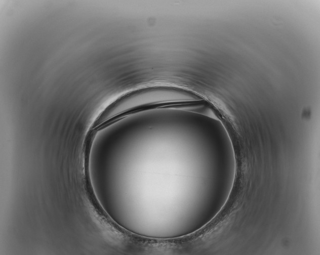 X0000090770934200707271524