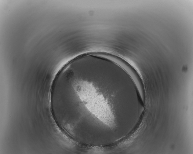 X0000090770935200707271524