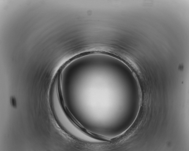 X0000090770936200707271524