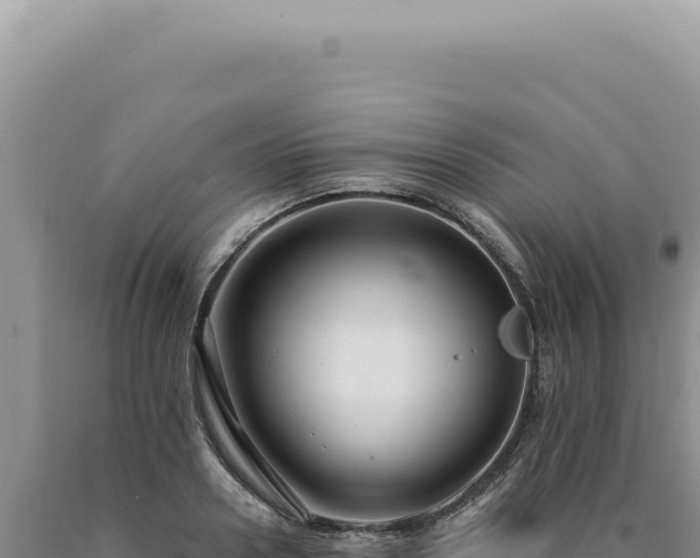 X0000090770938200707271524