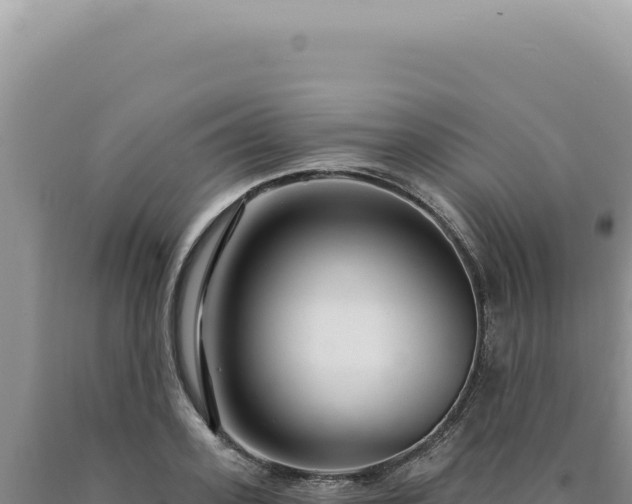 X0000090770939200707271524
