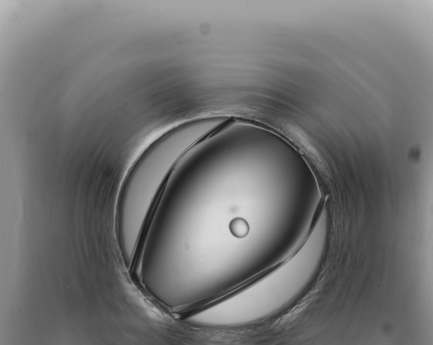 X0000090770940200707271524