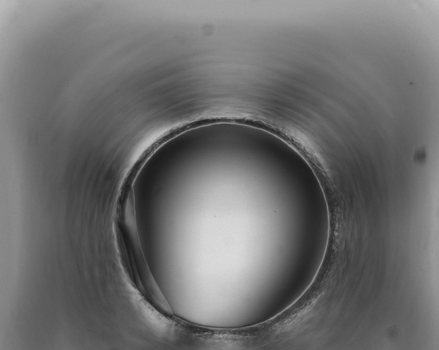 X0000090770942200707271524