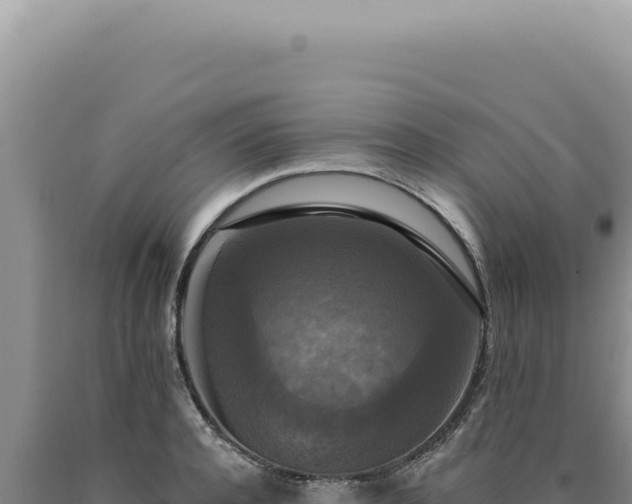X0000090770944200707271524