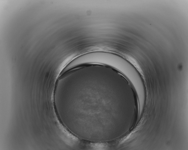 X0000090770946200707271524