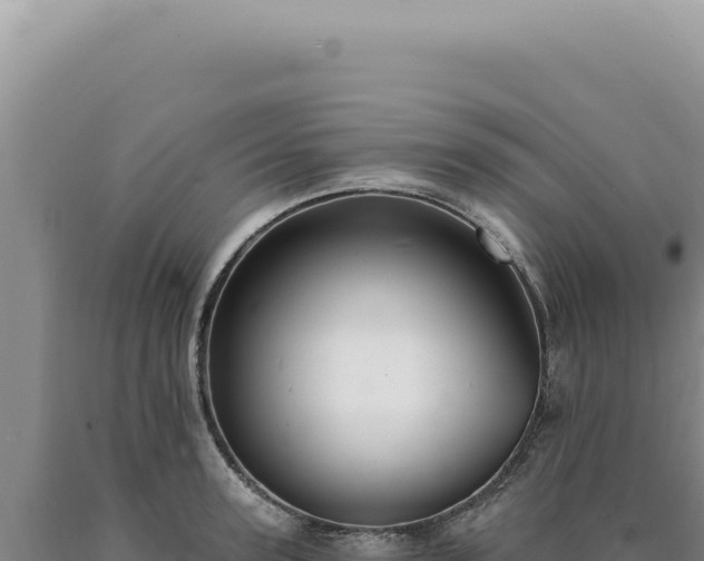 X0000090770947200707271524