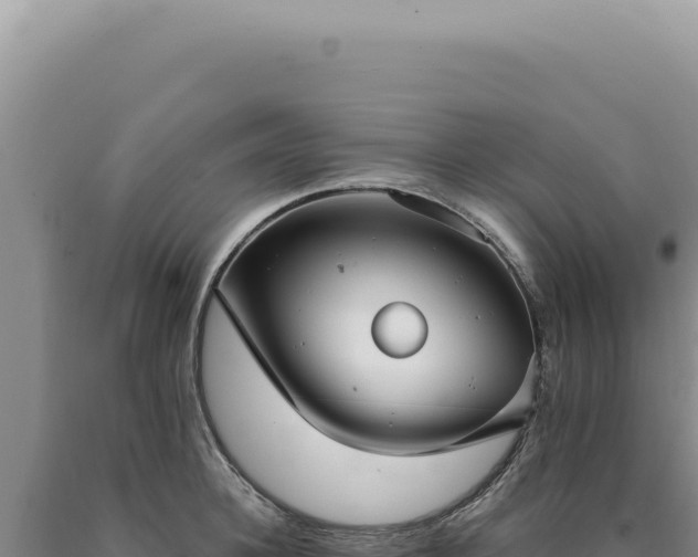 X0000090770948200707271524