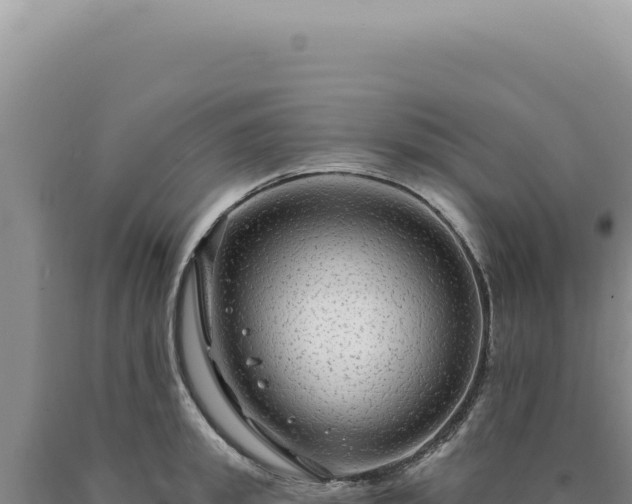 X0000090770949200707271524