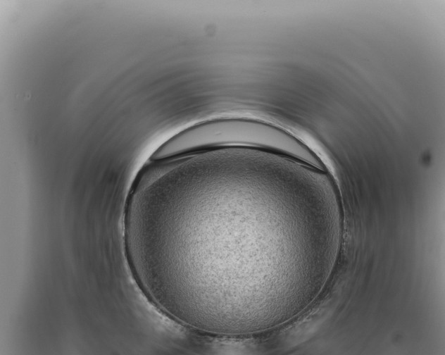 X0000090770951200707271525