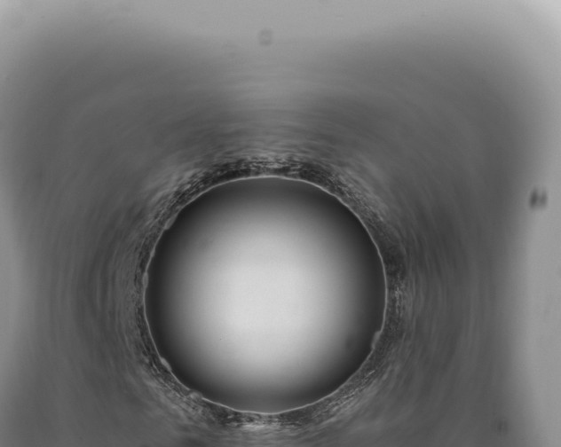 X0000090770961200707271524