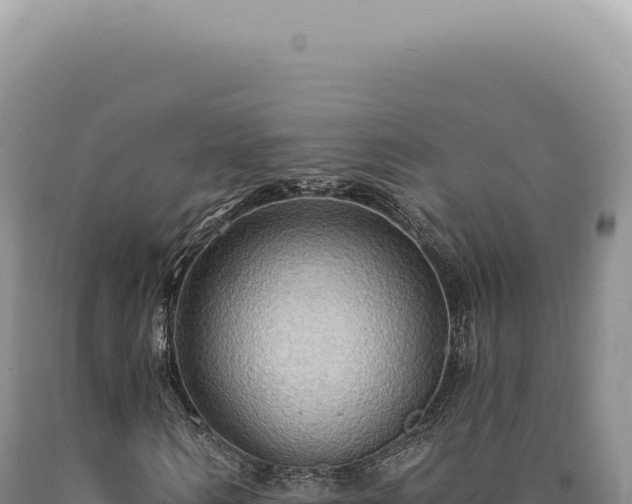X0000090770962200707271524
