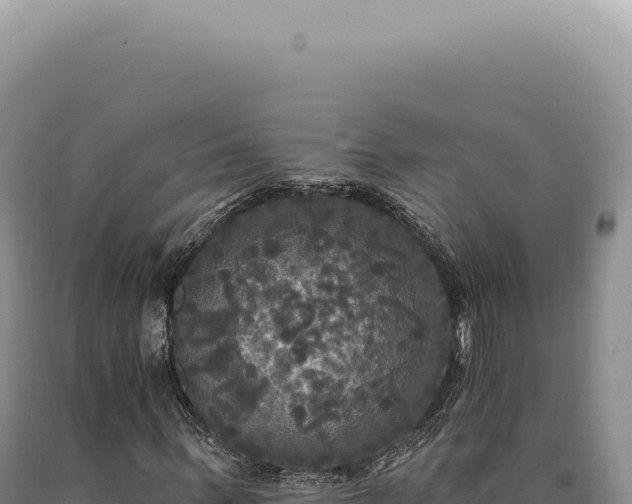 X0000090770963200707271524