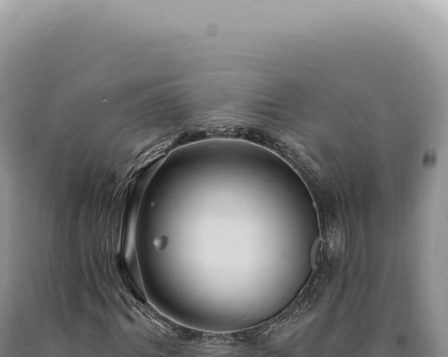 X0000090770964200707271524
