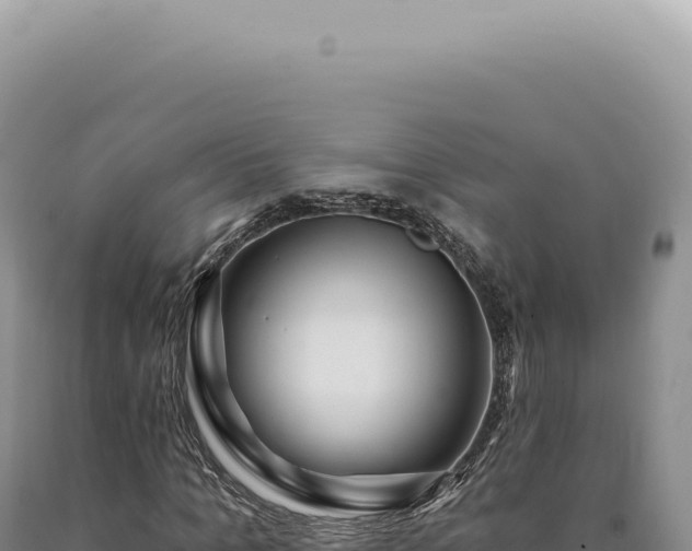 X0000090770965200707271524