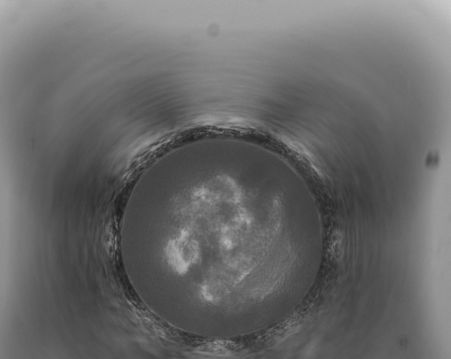 X0000090770966200707271524