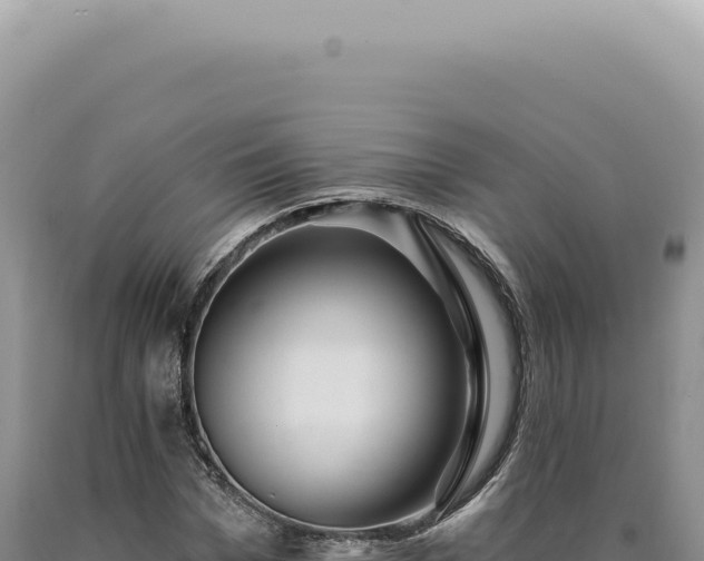 X0000090770969200707271524