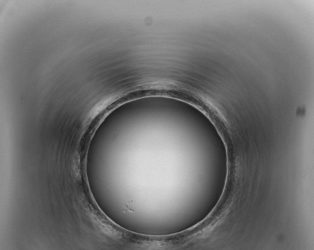 X0000090770970200707271524