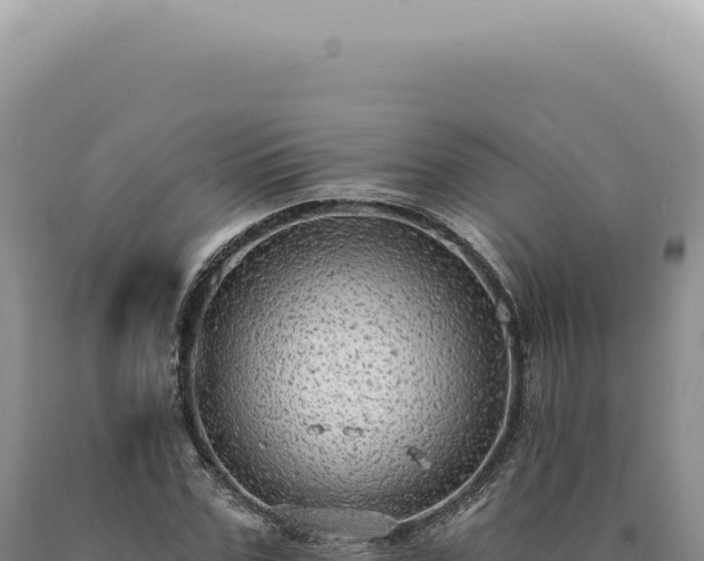 X0000090770971200707271524