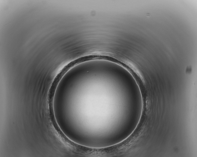 X0000090770972200707271524