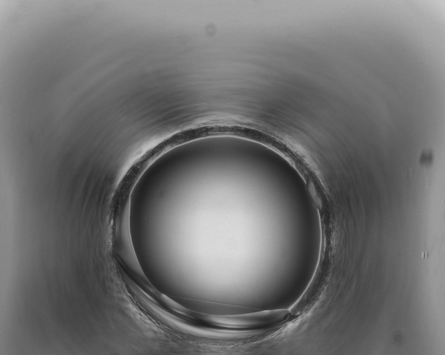 X0000090770973200707271524