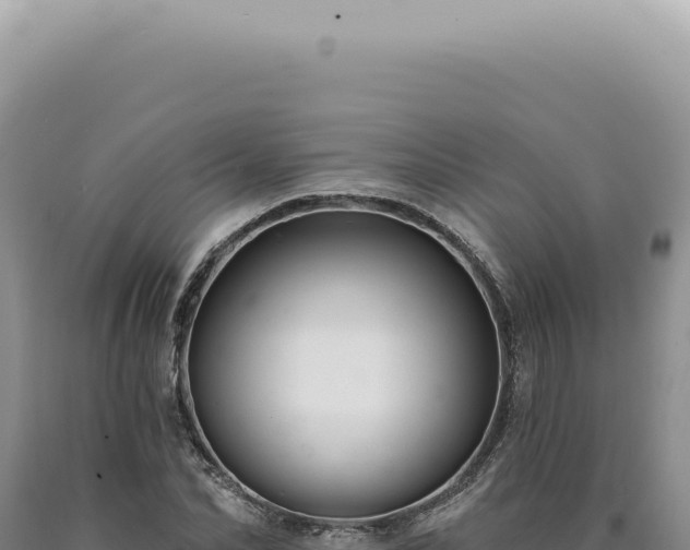 X0000090770974200707271524