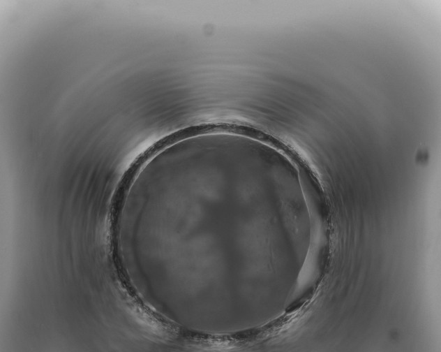 X0000090770975200707271524