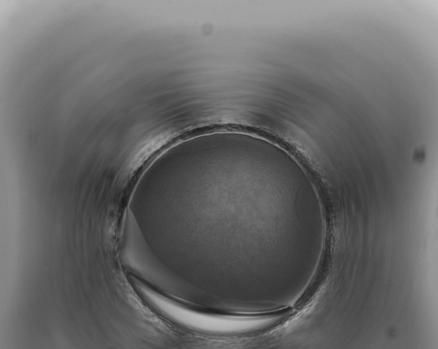 X0000090770977200707271524