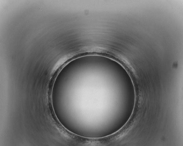 X0000090770978200707271524