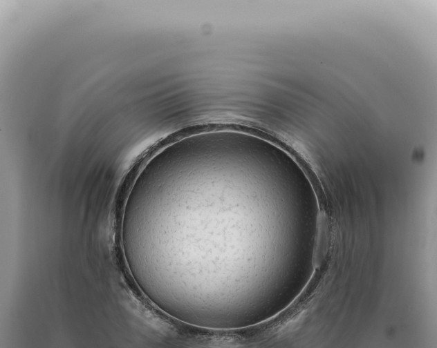 X0000090770979200707271524